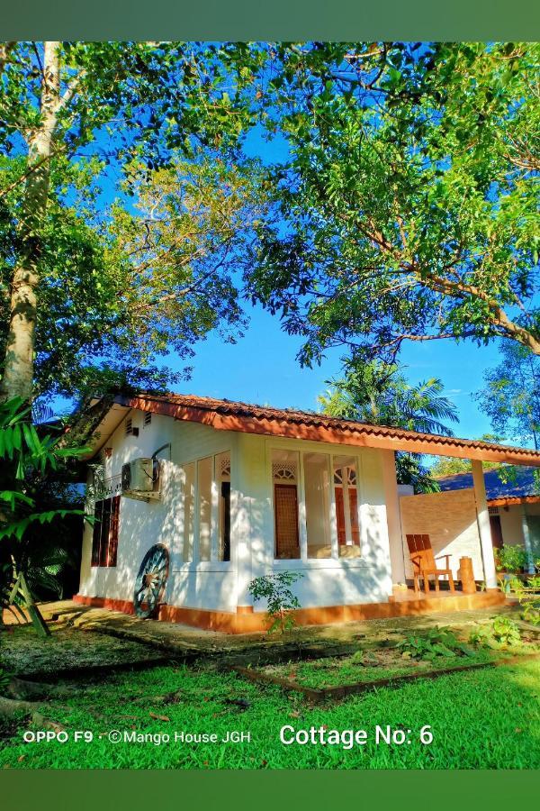 Mango House Japanese Guest House Negombo Exterior foto