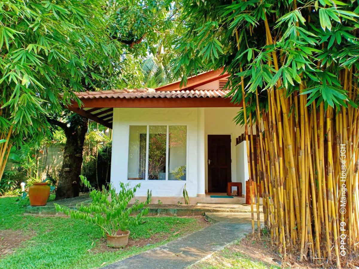 Mango House Japanese Guest House Negombo Exterior foto