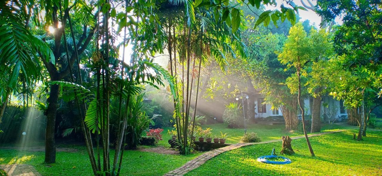 Mango House Japanese Guest House Negombo Exterior foto